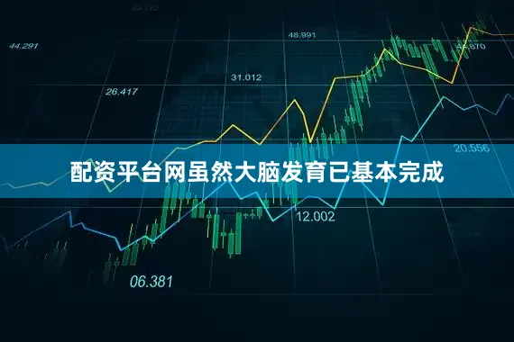 配资平台网虽然大脑发育已基本完成