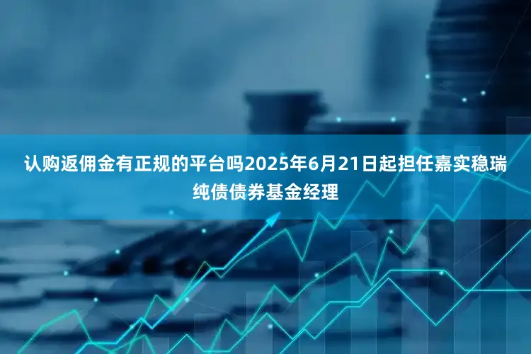 认购返佣金有正规的平台吗2025年6月21日起担任嘉实稳瑞纯债债券基金经理