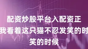 配资炒股平台入配资正当我看着这只猫不忍发笑的时候
