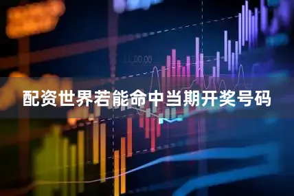 配资世界若能命中当期开奖号码