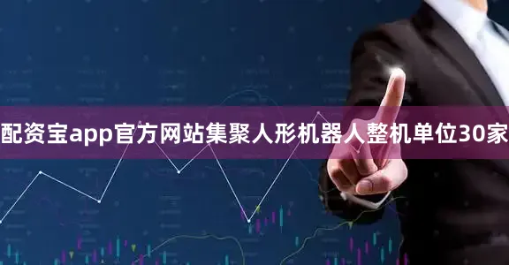配资宝app官方网站集聚人形机器人整机单位30家