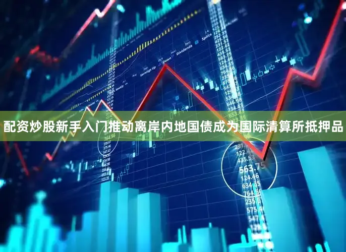 配资炒股新手入门推动离岸内地国债成为国际清算所抵押品