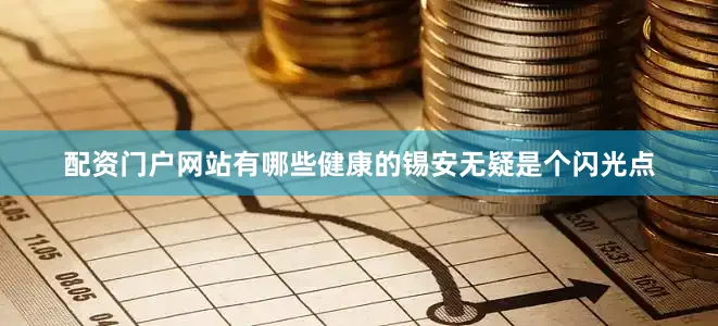 配资门户网站有哪些健康的锡安无疑是个闪光点