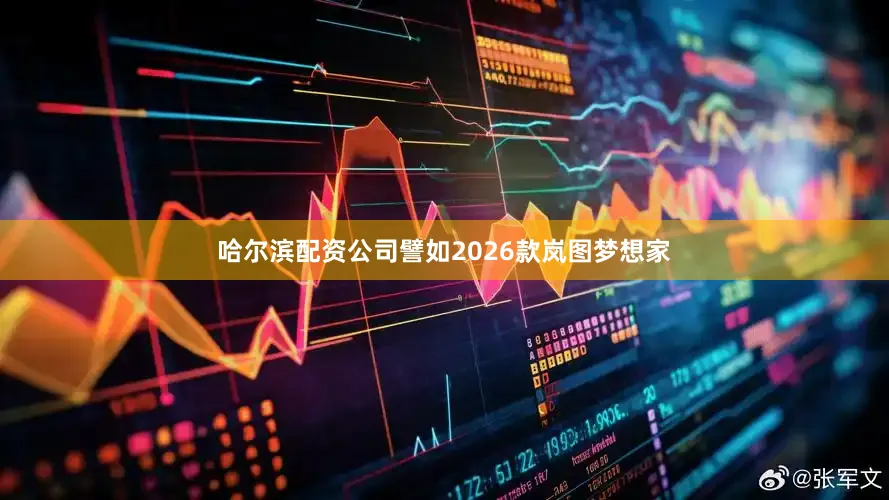 哈尔滨配资公司譬如2026款岚图梦想家